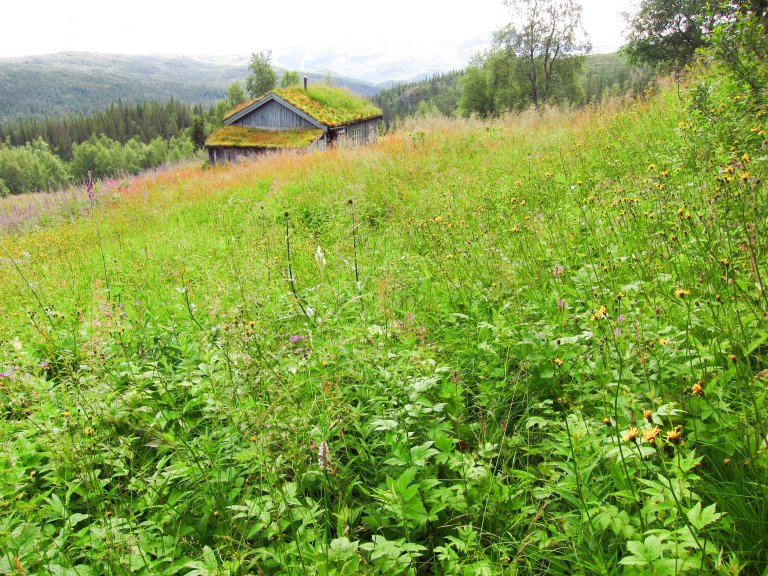 Ten facts about soil and farmland preservation in Norway Nibio